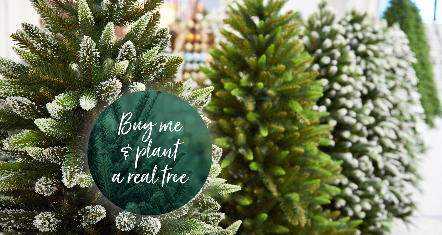 Bents Garden & Home Garden Furniture, Plants & Homewares